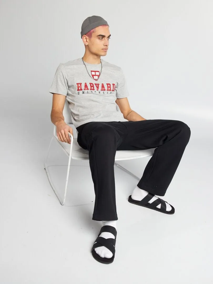 Camiseta estilo universitario 'Harvard' - GRIS