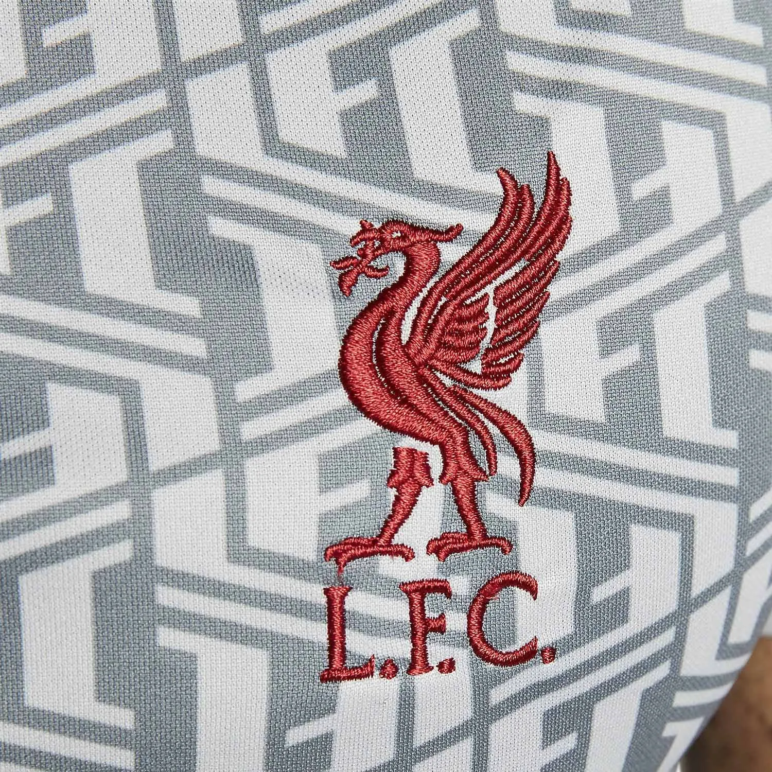 Camiseta Nike Liverpool pre-match