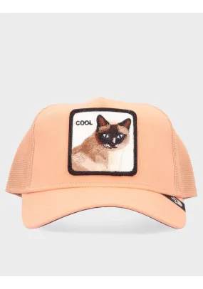 GORRA GOORIN COOL CAT APR